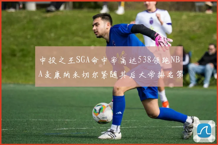 中投之王SGA命中率高达538领跑NBA麦康纳米切尔紧随其后大帝排名第七