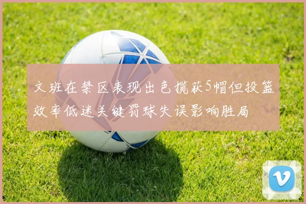 文班在禁区表现出色揽获5帽但投篮效率低迷关键罚球失误影响胜局