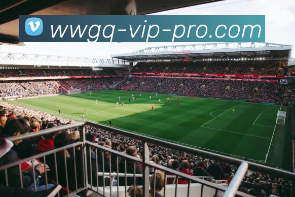 外围滚球平台品牌故事