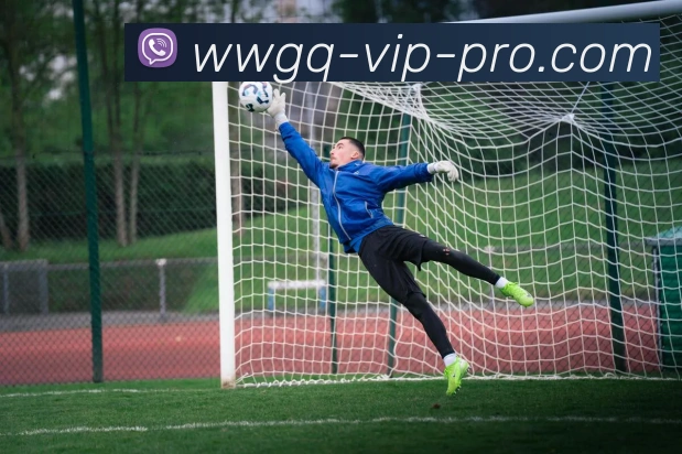 外围滚球平台服务体系